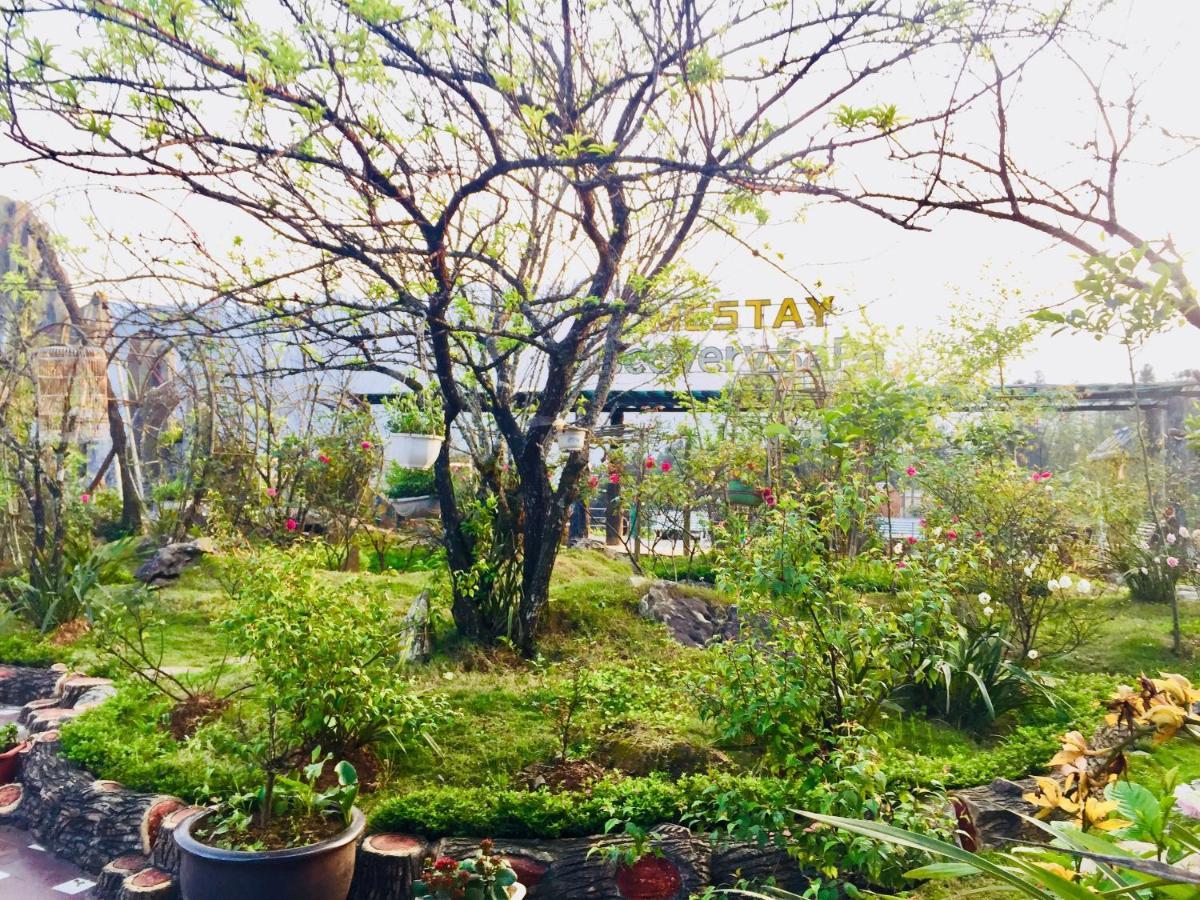 Homestay Discovery Sapa المظهر الخارجي الصورة